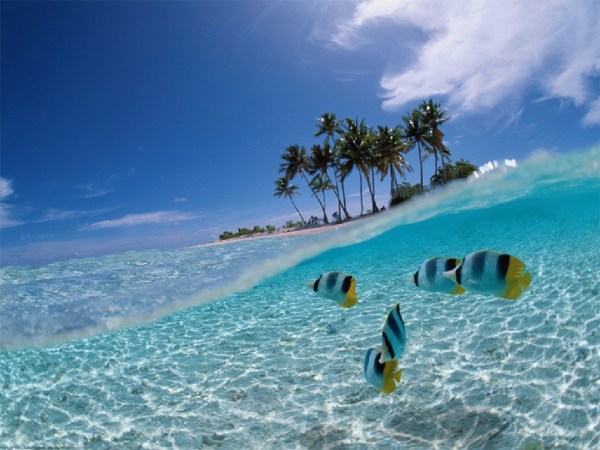bunaken-island