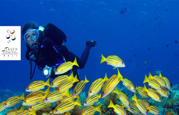 bali-tauch-terminal-dive-center